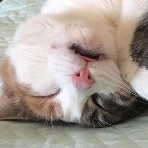 Meet your Posher, Barbie